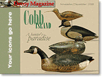 Cobb Island Desktop