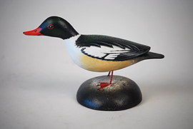 Common merganser by Elmer Crowell of East Harwich, MA.