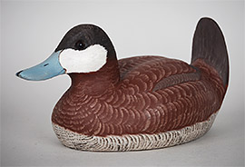 Ruddy duck by J. Corbin Reed of Chincoteague, Virginia.