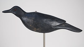 Crow by Harry V. Shourds II of Cape May County, New Jersey.
