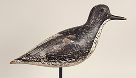 Black-bellied plover by John Dilley of Quogue, Long Island, New York, ca. 1890, with a replaced bill. Lots of shot hits on one side, but it's in original paint.