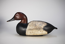 Canvasback by Edson Gray of Ocean View, Delaware from his personal gunning rig, ca. 1930.