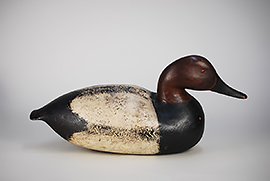 Canvasback by Edson Gray of Ocean View, Delaware from his personal gunning rig, ca. 1930.