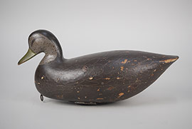 Hollow black duck by Charles Jester of Chincoteague, Virginia.