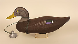 Black duck by Charles Jobes of Havre de Grace, Maryland, dated 1989, all rigged and ready to go