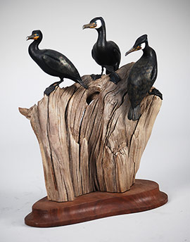 MIniature cormorants by Joan Short