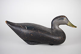 Black duck by Madison Mitchell of Havre de Grace, MD, ca. 1950.