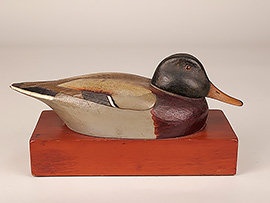 Mallard by Dr. Lewis Webb Hill of Martha's Vineyard, MA