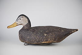 Black duck by Miles Hancock of Chincoteague, Virginia