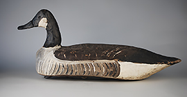 Canada goose by Miles Hancock of Chincoteague, Virginia