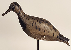 Rare black-bellied plover from New Jersey's "Lumberyard" rig, ca. 1900.