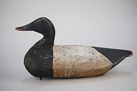Canvasback by Ned Burgess of Churches Island, North Carolina in 100% dry original paint, ca. 1930