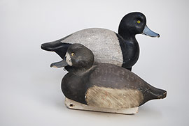 Pair of bluebills by J.J. West of Bordentown, NJ