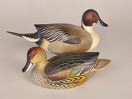Pair of cedar-bodied pintails with raised-wing carving by the Ward brothers of Crisfield, MD