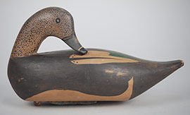 Preening wigeon hen by Gene Travers of Hoopers Island, MD, ca. 1960s