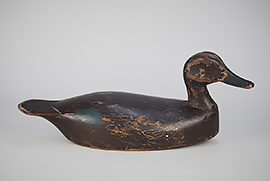 Black duck from the St. Lawrence River area similar to the work of the Belleville, Ontario carvers.