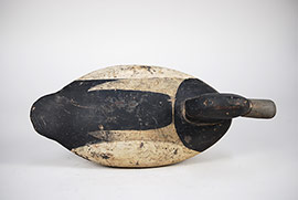 Upper Chesapeake Bay bluebill from Havre de Grace, Maryland with an interesting paint pattern, ca. 1890