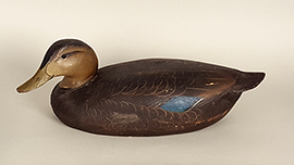 Balsa-bodied black duck by the Ward brothers of Crisfield, Maryland, ca. 1940s. Keel removed. 