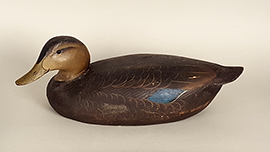 Balsa-bodied black duck by the Ward brothers of Crisfield, Maryland, ca. 1940s. Keel removed.