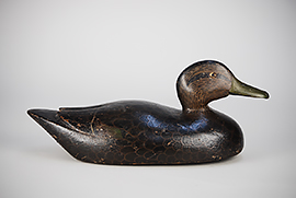 Stylish black duck with raised wing carving attributed to Willis Gray of Ganonogue, Ontario, Canada, ca. 1920